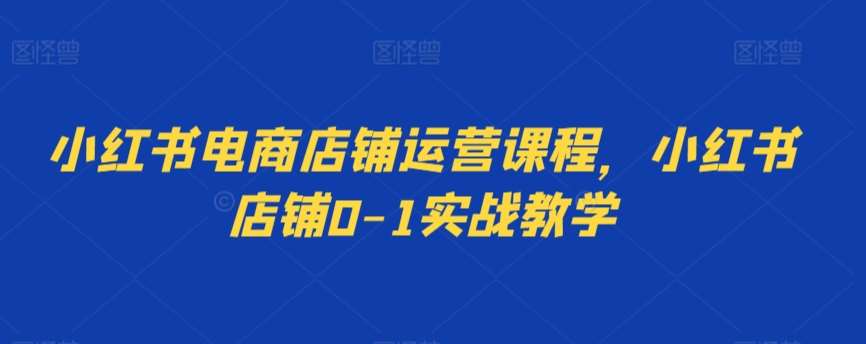 小红书电商店铺运营课程，小红书店铺0-1实战教学汇创网-网创项目_汇创网_中创网_福缘网_冒泡网_网创项目平台汇创网