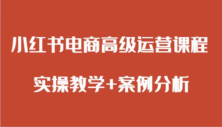 小红书电商高级运营课程 实操教学+案例分析汇创网-网创项目_汇创网_中创网_福缘网_冒泡网_资源整合平台汇创网