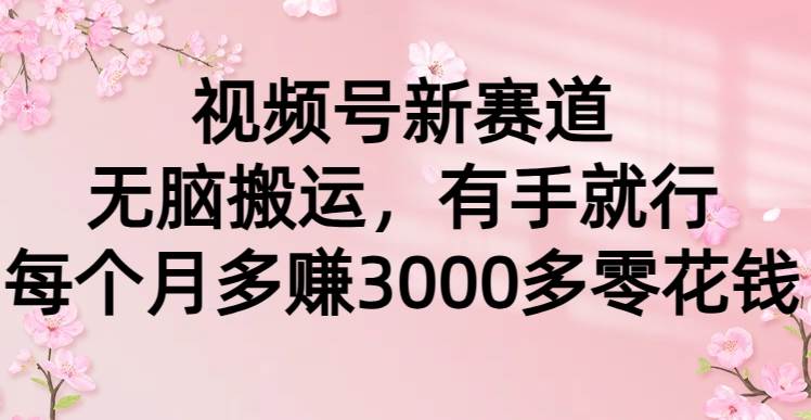（9278期）视频号新赛道，无脑搬运，有手就行，每个月多赚3000多零花钱汇创网-网创项目_汇创网_中创网_福缘网_冒泡网_资源整合平台汇创网