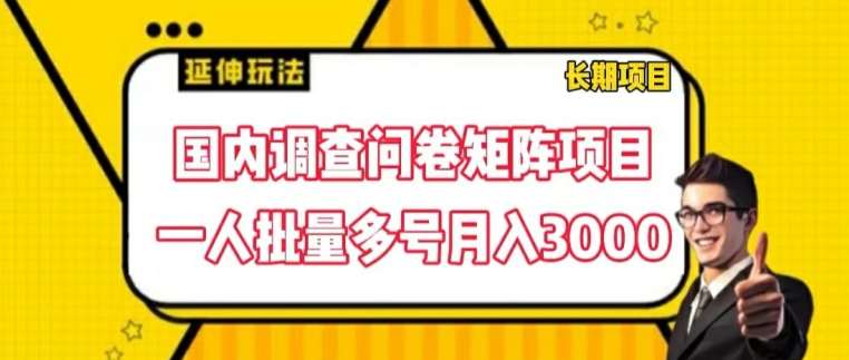 国内调查问卷矩阵项目，一人批量多号月入3000【揭秘】汇创网-网创项目_汇创网_中创网_福缘网_冒泡网_网创项目平台汇创网