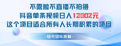 不露脸不直播不拍摄抖音单条视频日入1k+这个项目适合所有人长期积累的项目汇创网-网创项目_汇创网_中创网_福缘网_冒泡网_资源整合平台汇创网