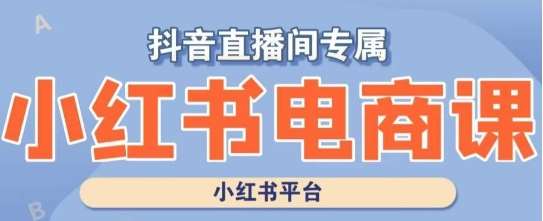 小红书电商高级运营课程，实操教学+案例分析汇创网-网创项目_汇创网_中创网_福缘网_冒泡网_资源整合平台汇创网