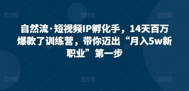 自然流·短视频IP孵化手，14天百万爆款了训练营，带你迈出“月入5w新职业”第一步汇创网-网创项目_汇创网_中创网_福缘网_冒泡网_资源整合平台汇创网