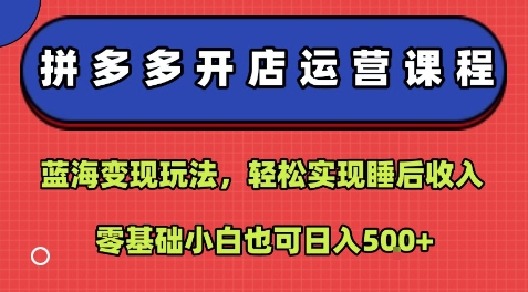 拼多多开店运营课程：蓝海变现玩法，轻松实现睡后收入，零基础小白也可日入5张汇创网-网创项目_汇创网_中创网_福缘网_冒泡网_网创项目平台汇创网