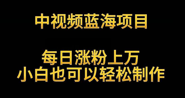 中视频蓝海项目，解读英雄人物生平，每日涨粉上万，小白也可以轻松制作，月入过万不是梦【揭秘】汇创网-网创项目_汇创网_中创网_福缘网_冒泡网_网创项目平台汇创网