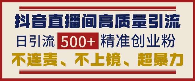 抖音直播间引流创业粉，无需连麦、不用上镜、超暴力，日引流500+高质量精准创业粉汇创网-网创项目_汇创网_中创网_福缘网_冒泡网_网创项目平台汇创网