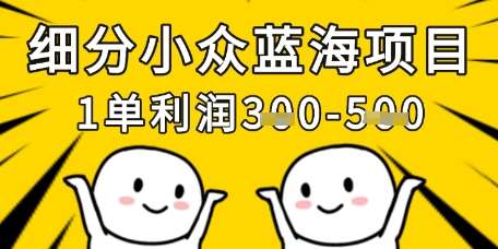 细分小众蓝海项目，一单利润3张，每月收入稳定过1w+汇创网-网创项目_汇创网_中创网_福缘网_冒泡网_资源整合平台汇创网