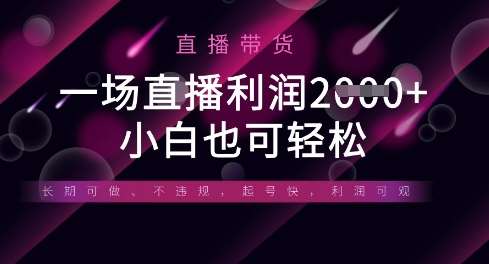 半无人直播带货，一场利润数张，适合所有平台玩法，小白也可轻松汇创网-网创项目_汇创网_中创网_福缘网_冒泡网_资源整合平台汇创网