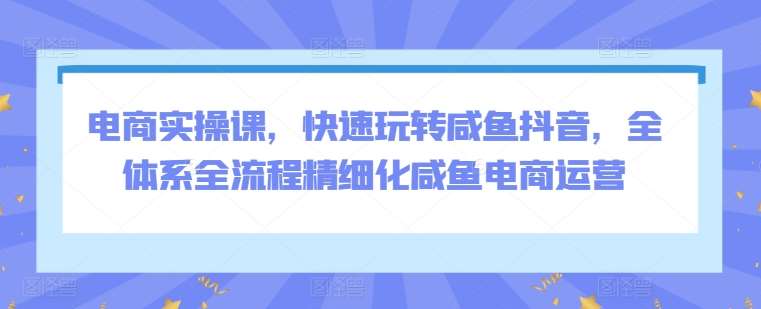 电商实操课，快速玩转咸鱼抖音，全体系全流程精细化咸鱼电商运营汇创网-网创项目_汇创网_中创网_福缘网_冒泡网_资源整合平台汇创网