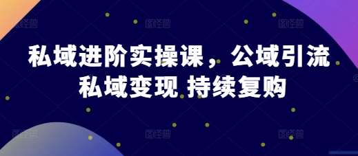 私域进阶实操课，公域引流 私域变现 持续复购汇创网-网创项目_汇创网_中创网_福缘网_冒泡网_资源整合平台汇创网