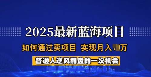 2025蓝海项目，普通人如何通过卖项目，实现月入过W，全过程【揭秘】汇创网-网创项目_汇创网_中创网_福缘网_冒泡网_资源整合平台汇创网