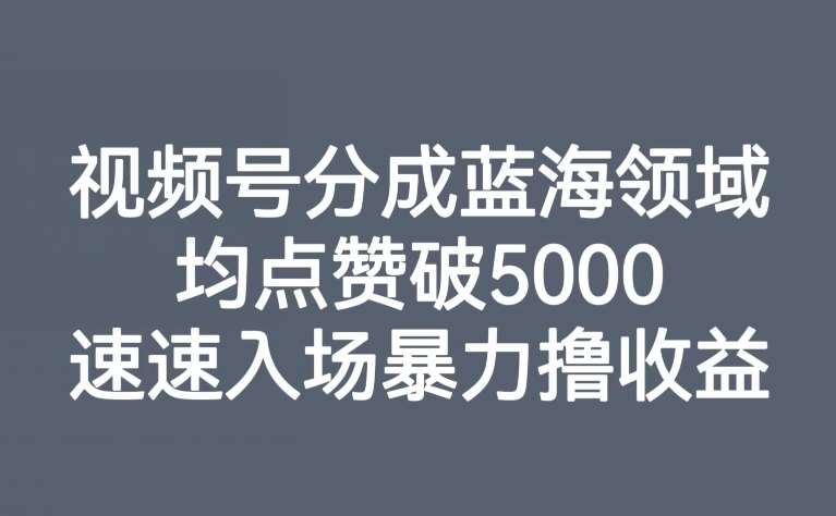 视频号分成蓝海领域，均点赞破5000，速速入场暴力撸收益汇创网-网创项目_汇创网_中创网_福缘网_冒泡网_资源整合平台汇创网