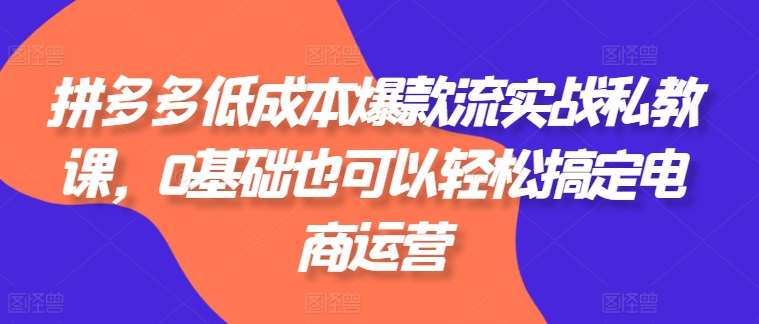 拼多多低成本爆款流实战私教课，0基础也可以轻松搞定电商运营汇创网-网创项目_汇创网_中创网_福缘网_冒泡网_资源整合平台汇创网