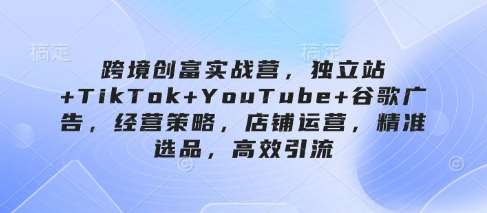 跨境创富实战营，独立站+TikTok+YouTube+谷歌广告，经营策略，店铺运营，精准选品，高效引流汇创网-网创项目_汇创网_中创网_福缘网_冒泡网_资源整合平台汇创网