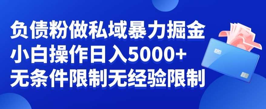 负债粉私域暴力掘金，小白操作入5000，无经验限制，无条件限制【揭秘】汇创网-网创项目_汇创网_中创网_福缘网_冒泡网_资源整合平台汇创网