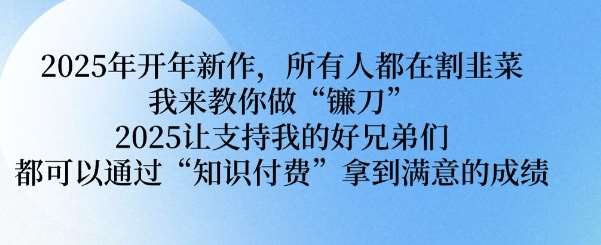 2025年开年新作，所有人都在割韭菜，我来教你做“镰刀” 2025让支持我的好兄弟们都可以通过“知识付费”拿到满意的成绩【揭秘】汇创网-网创项目_汇创网_中创网_福缘网_冒泡网_资源整合平台汇创网