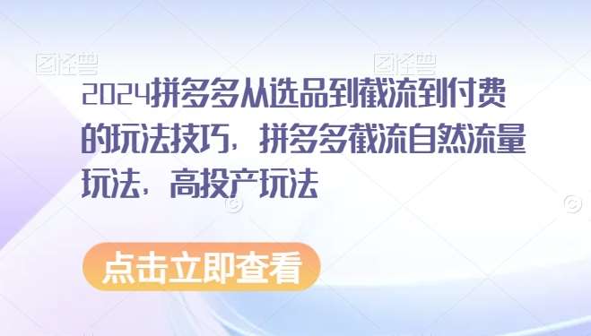 2024拼多多从选品到截流到付费的玩法技巧，拼多多截流自然流量玩法，高投产玩法汇创网-网创项目_汇创网_中创网_福缘网_冒泡网_资源整合平台汇创网