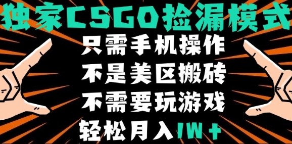 CSGO自动捡漏项目，最新独家玩法，不是美区搬砖，不需要了解和玩游戏，新手小白轻松月入1W+【揭秘】汇创网-网创项目_汇创网_中创网_福缘网_冒泡网_网创项目平台汇创网