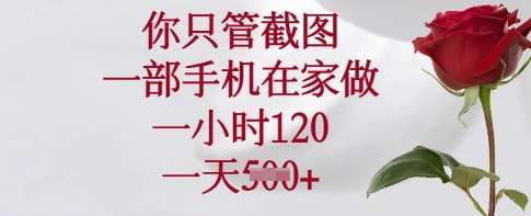 你只管截图，一部手机在家做，一小时120.一天5张【揭秘】汇创网-网创项目_汇创网_中创网_福缘网_冒泡网_资源整合平台汇创网