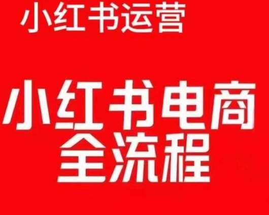 红薯电商实操课，小红书电商全流程汇创网-网创项目_汇创网_中创网_福缘网_冒泡网_资源整合平台汇创网