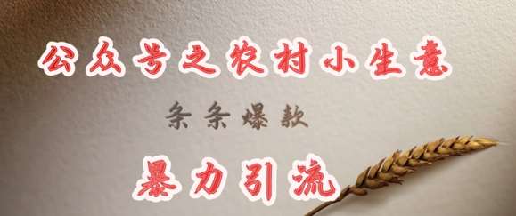 deepseek写农村小项目，条条爆款，暴力引流汇创网-网创项目_汇创网_中创网_福缘网_冒泡网_网创项目平台汇创网