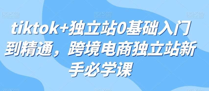 tiktok+独立站0基础入门到精通，跨境电商独立站新手必学课汇创网-网创项目_汇创网_中创网_福缘网_冒泡网_资源整合平台汇创网