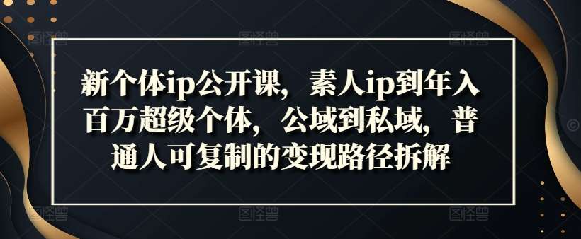 新个体ip公开课，素人ip到年入百万超级个体，公域到私域，普通人可复制的变现路径拆解汇创网-网创项目_汇创网_中创网_福缘网_冒泡网_资源整合平台汇创网