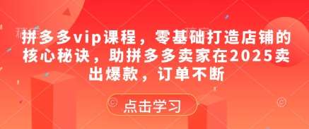 拼多多vip课程，零基础打造店铺的核心秘诀，助拼多多卖家在2025卖出爆款，订单不断汇创网-网创项目_汇创网_中创网_福缘网_冒泡网_资源整合平台汇创网