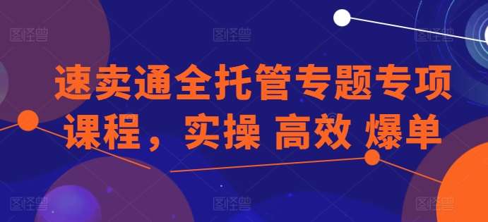 速卖通全托管专题专项课程，实操 高效 爆单汇创网-网创项目_汇创网_中创网_福缘网_冒泡网_网创项目平台汇创网