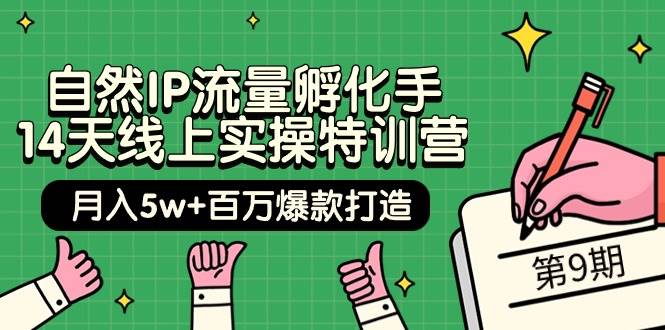 自然IP流量孵化手 14天线上实操特训营【第9期】月入5w+百万爆款打造 (74节)汇创网-网创项目_汇创网_中创网_福缘网_冒泡网_资源整合平台汇创网