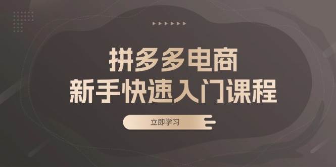 （13289期）拼多多电商新手快速入门课程：涵盖基础、实战与选款，助力小白轻松上手汇创网-网创项目_汇创网_中创网_福缘网_冒泡网_资源整合平台汇创网