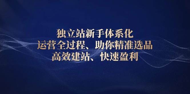 （13914期）独立站新手体系化 运营全过程，助你精准选品、高效建站、快速盈利汇创网-网创项目_汇创网_中创网_福缘网_冒泡网_资源整合平台汇创网
