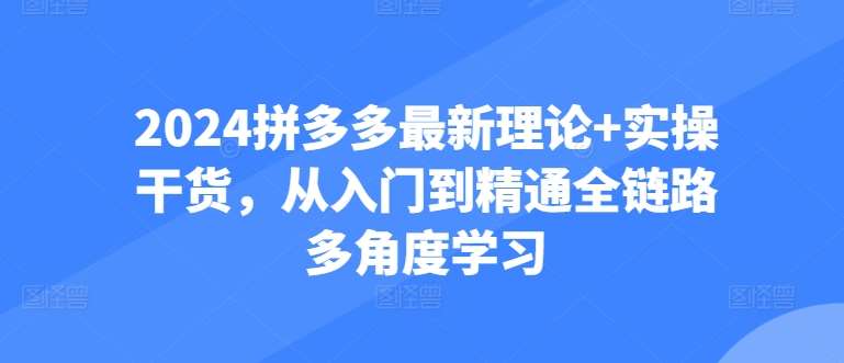 2024拼多多最新理论+实操干货，从入门到精通全链路多角度学习汇创网-网创项目_汇创网_中创网_福缘网_冒泡网_资源整合平台汇创网