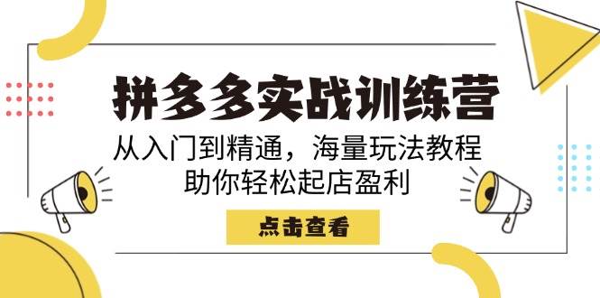（14392期）拼多多实战训练营，从入门到精通，海量玩法教程，助你轻松起店盈利汇创网-网创项目_汇创网_中创网_福缘网_冒泡网_资源整合平台汇创网