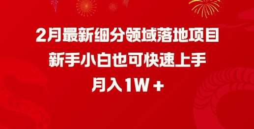 2月最新细分领域落地项目，新手小白也可快速上手，月入1W汇创网-网创项目_汇创网_中创网_福缘网_冒泡网_资源整合平台汇创网