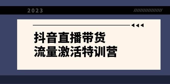 （8185期）抖音直播带货-流量激活特训营，入行新手小白主播必学（21节课+资料）汇创网-网创项目_汇创网_中创网_福缘网_冒泡网_网创项目平台汇创网