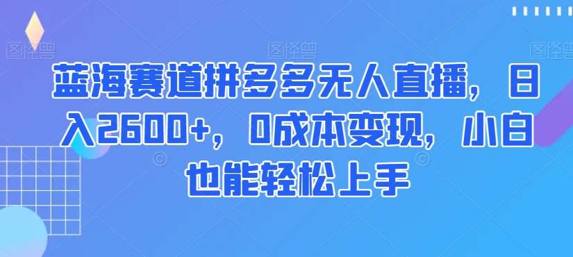 蓝海赛道拼多多无人直播，日入2600+，0成本变现，小白也能轻松上手【揭秘】汇创网-网创项目_汇创网_中创网_福缘网_冒泡网_网创项目平台汇创网
