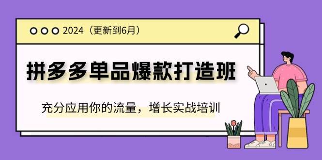 （11556期）2024拼多多-单品爆款打造班(更新6月)，充分应用你的流量，增长实战培训汇创网-网创项目_汇创网_中创网_福缘网_冒泡网_资源整合平台汇创网