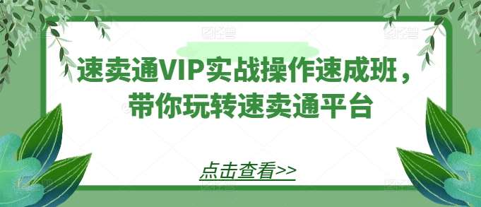 速卖通VIP实战操作速成班，带你玩转速卖通平台汇创网-网创项目_汇创网_中创网_福缘网_冒泡网_网创项目平台汇创网