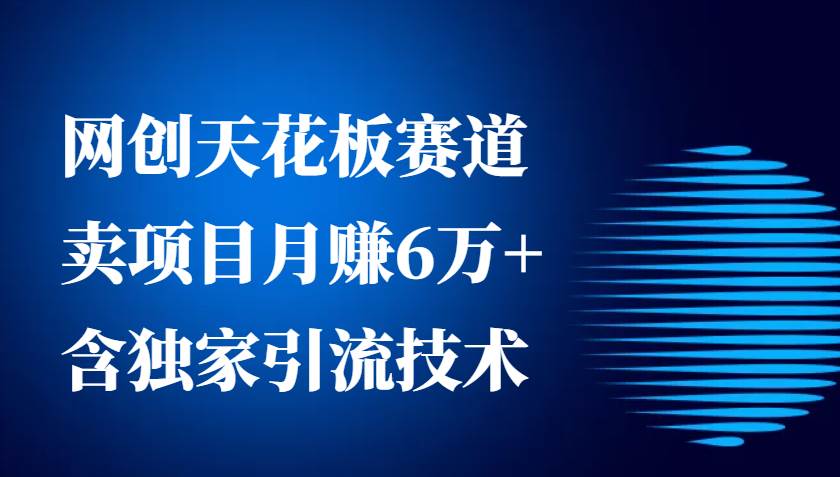 网创天花板赛道，卖项目月赚6万+，含独家引流技术（共26节课）汇创网-网创项目_汇创网_中创网_福缘网_冒泡网_资源整合平台汇创网