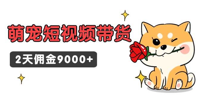 （9273期）东哲日记·萌宠短视频带货，2天佣金9000+汇创网-网创项目_汇创网_中创网_福缘网_冒泡网_资源整合平台汇创网