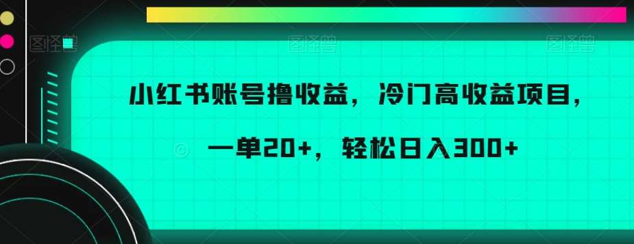 小红书账号撸收益，冷门高收益项目，一单20+，轻松日入300+【揭秘】汇创网-网创项目_汇创网_中创网_福缘网_冒泡网_网创项目平台汇创网