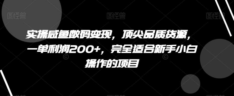 实操咸鱼数码变现，顶尖品质货源，一单利润200+，完全适合新手小白操作的项目【揭秘】汇创网-网创项目_汇创网_中创网_福缘网_冒泡网_网创项目平台汇创网