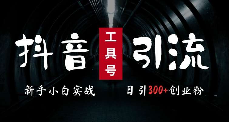2024最新抖音工具号引流玩法，高效日引300+创业粉，当天变现5k，小白也可成为实战高手汇创网-网创项目_汇创网_中创网_福缘网_冒泡网_网创项目平台汇创网