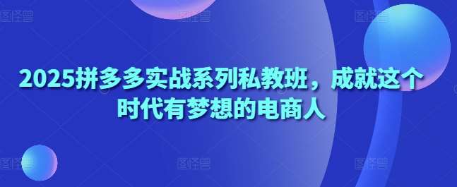 2025拼多多实战系列私教班，成就这个时代有梦想的电商人汇创网-网创项目_汇创网_中创网_福缘网_冒泡网_资源整合平台汇创网