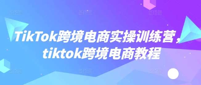 TikTok跨境电商实操训练营，tiktok跨境电商教程汇创网-网创项目_汇创网_中创网_福缘网_冒泡网_资源整合平台汇创网