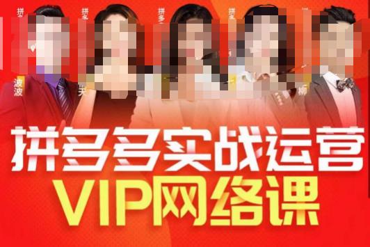 推易拼多多VIP全套直播课程，拼多多店铺实操玩法+实战玩法选款内功+直通车高阶等网创项目_汇创网_中创网_福缘网_冒泡网_资源整合平台汇创网