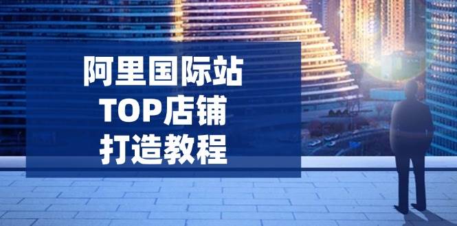 （14269期）阿里国际站TOP店铺打造教程：涵盖平台到高阶，解决运营难题，提升询盘汇创网-网创项目_汇创网_中创网_福缘网_冒泡网_资源整合平台汇创网