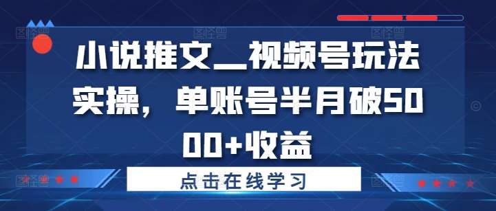 小说推文—视频号玩法实操，单账号半月破5000+收益汇创网-网创项目_汇创网_中创网_福缘网_冒泡网_资源整合平台汇创网