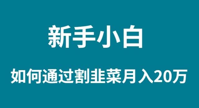 新手小白如何通过割韭菜月入 20W汇创网-网创项目_汇创网_中创网_福缘网_冒泡网_网创项目平台汇创网